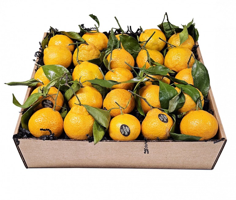 Murcott Mandarin Box Paul s Fruit Murcott Mandarin Box Paul s Fruit